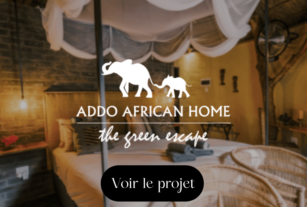 Création du site Addo African Home