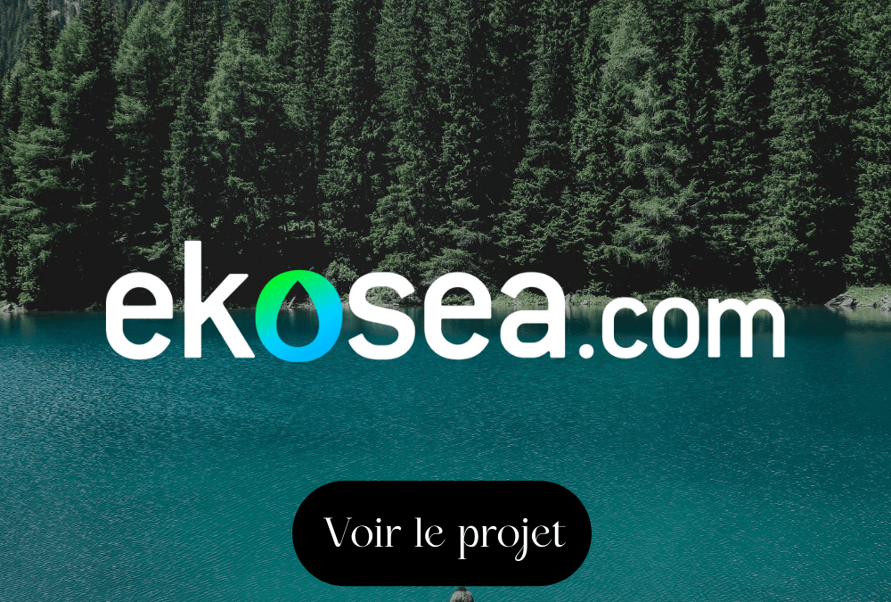 Support graphique ekosea.com + community management