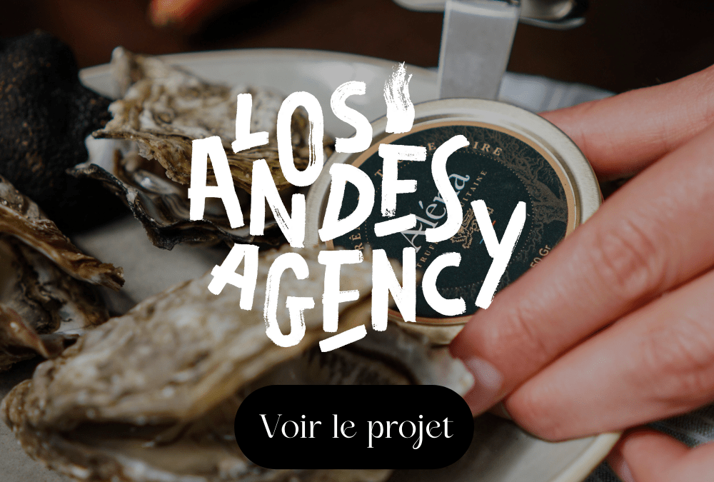 Création du site Los Andes Agency